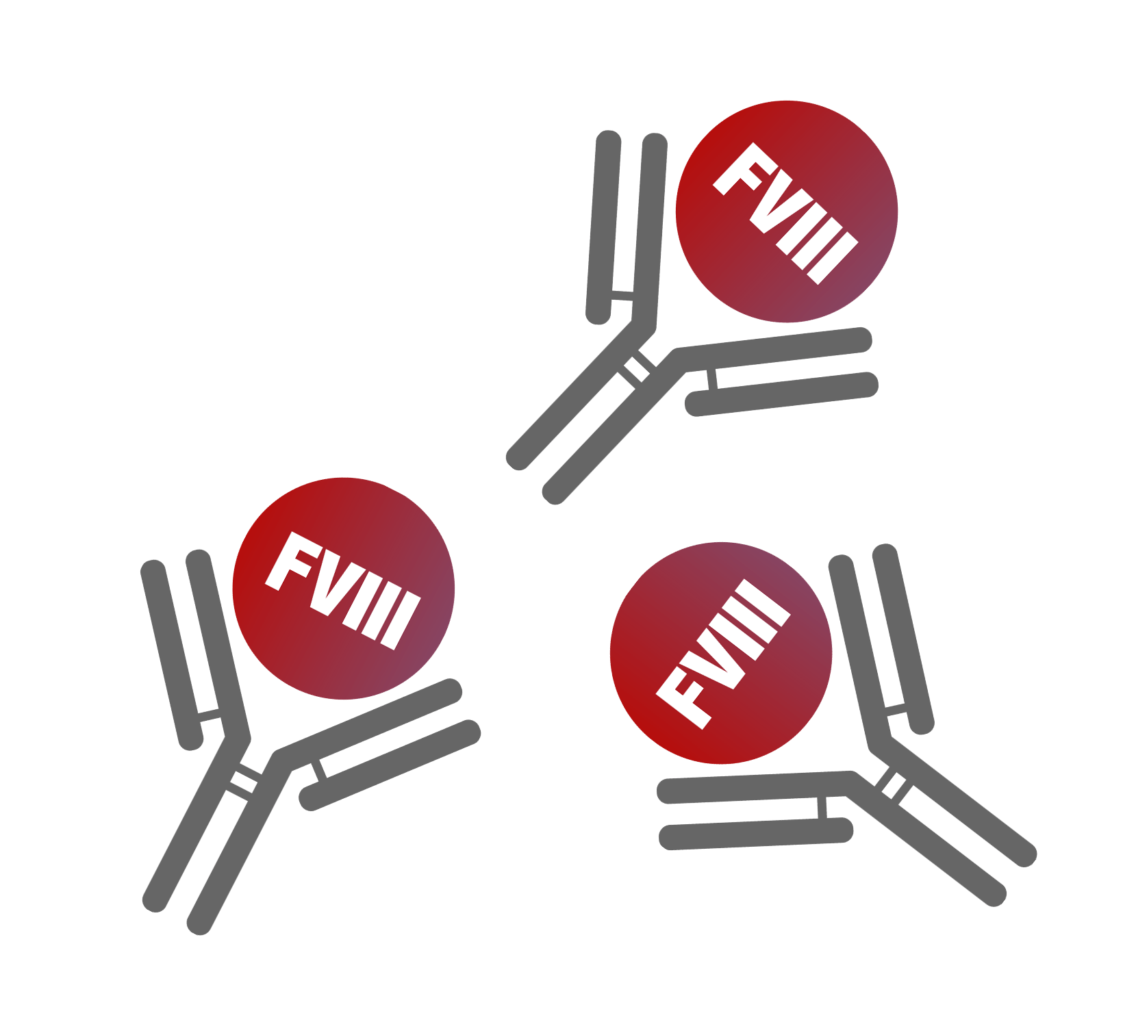 autoantibodies illustration